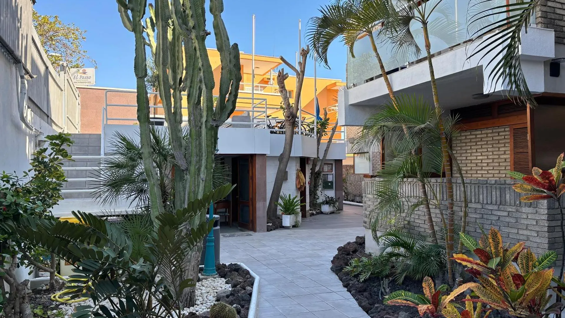 Lägenhet Apartamentos El Paseo Playa del Inglés Spanien